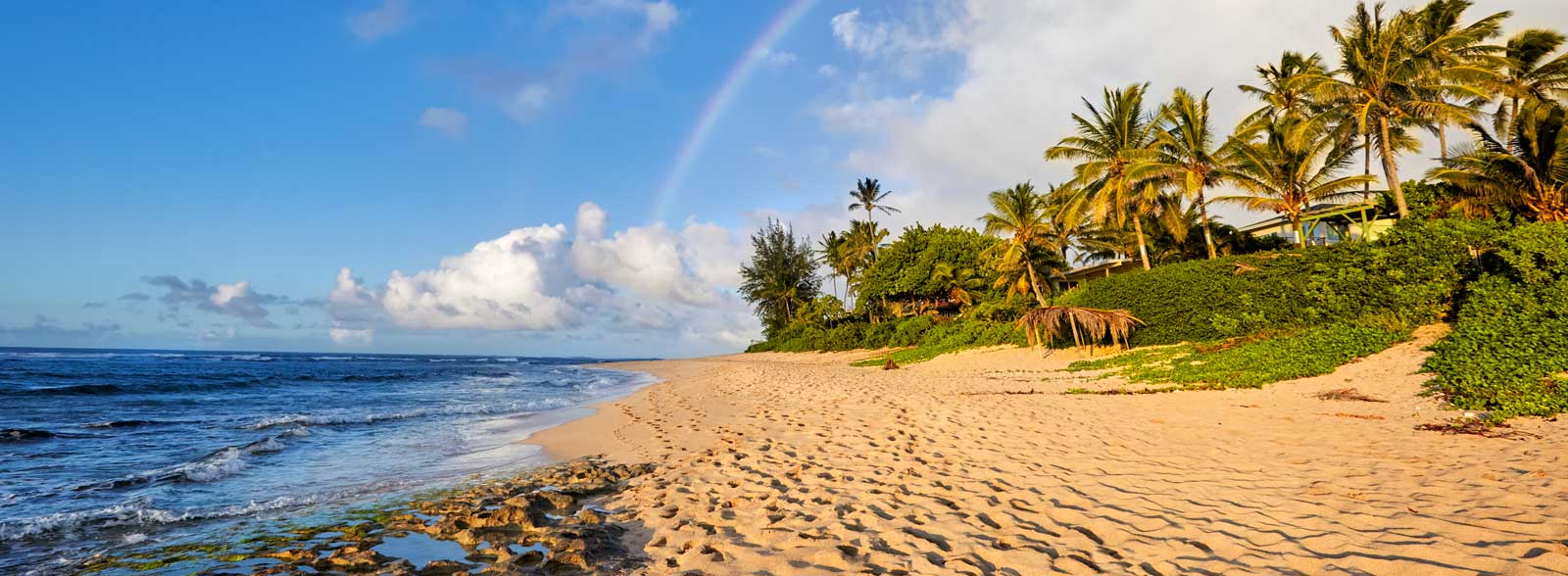 Active Oahu Tours