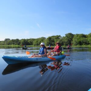 Econlockhatchee River Kayak Your | Orlando Florida