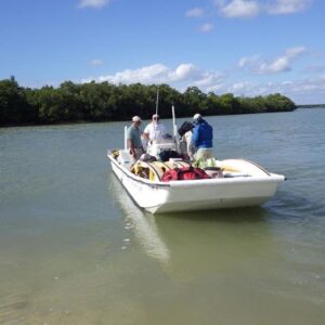 Boat Assisted Kayak Eco Tour | Everglades National Park