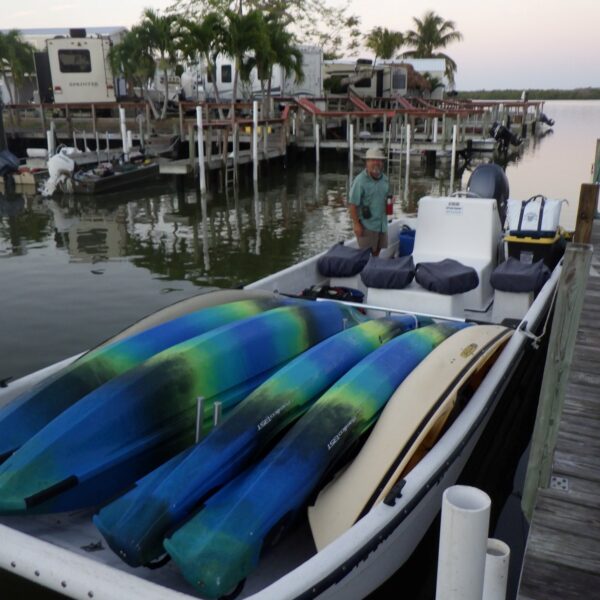 Boat Assisted Kayak Eco Tour | Everglades National Park