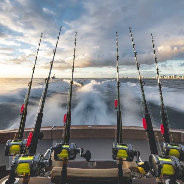 Private fishing charter | Key West, Florida