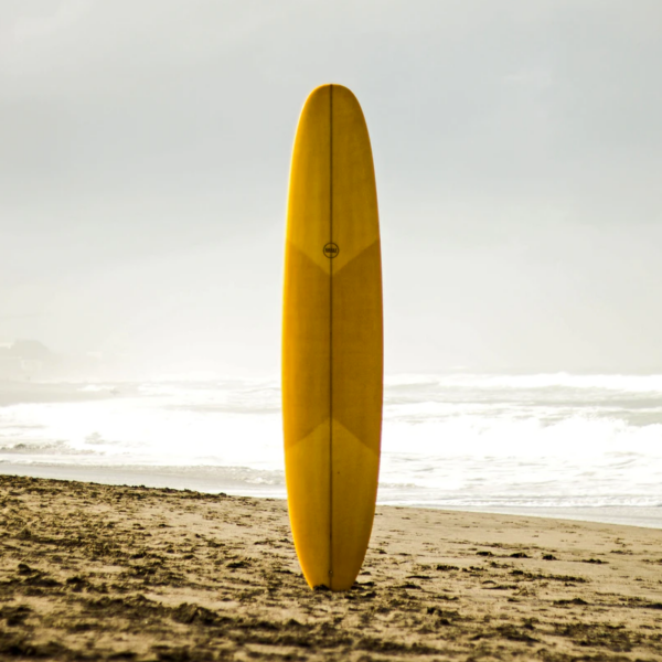 surfboard rental | Kona Hawaii booking