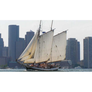 Boston harbor Day Sail