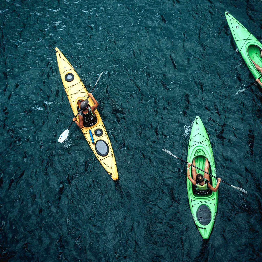 chetco river wildlife viewing kayak & sup tour