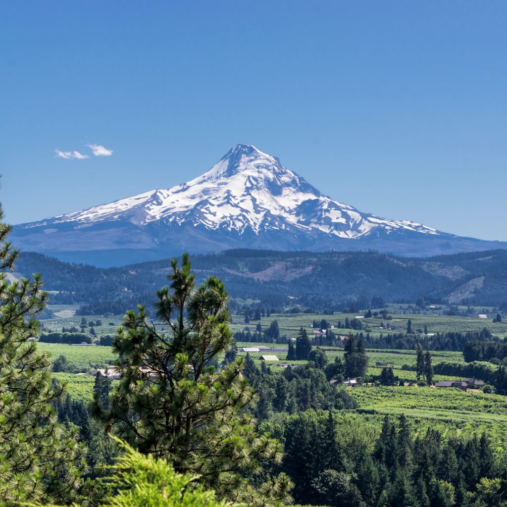 Gorge Waterfalls and Mt. Hood Tour | Portland Oregon