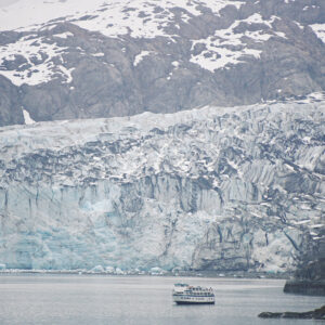 glacier & wildlife explorer tour