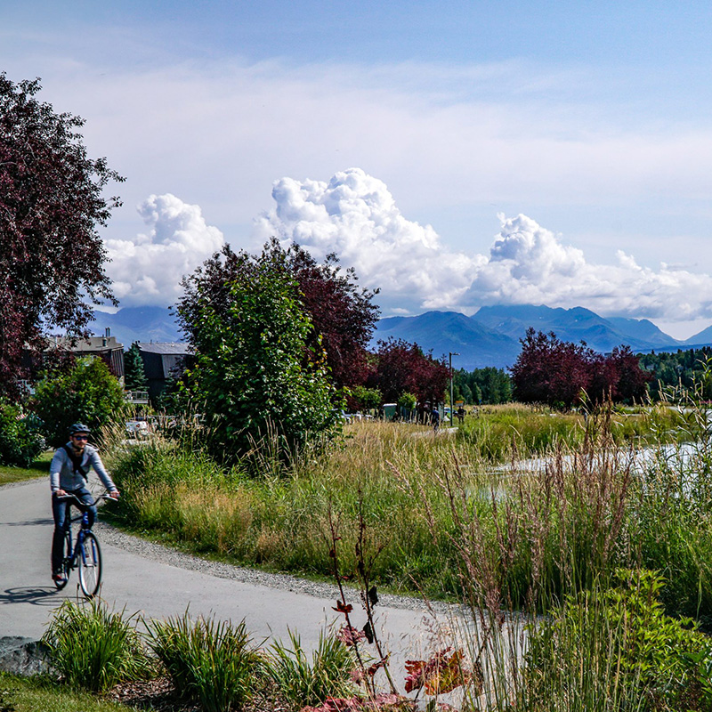 coastal cruise bike tour - anchorage coastal cruise bike tour