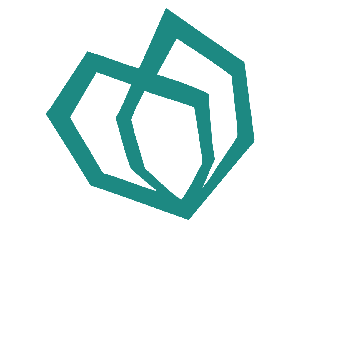 Coalition Snow Summit County